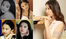 爆料刘亦菲整容视频在线观看,揭秘明星美容秘密